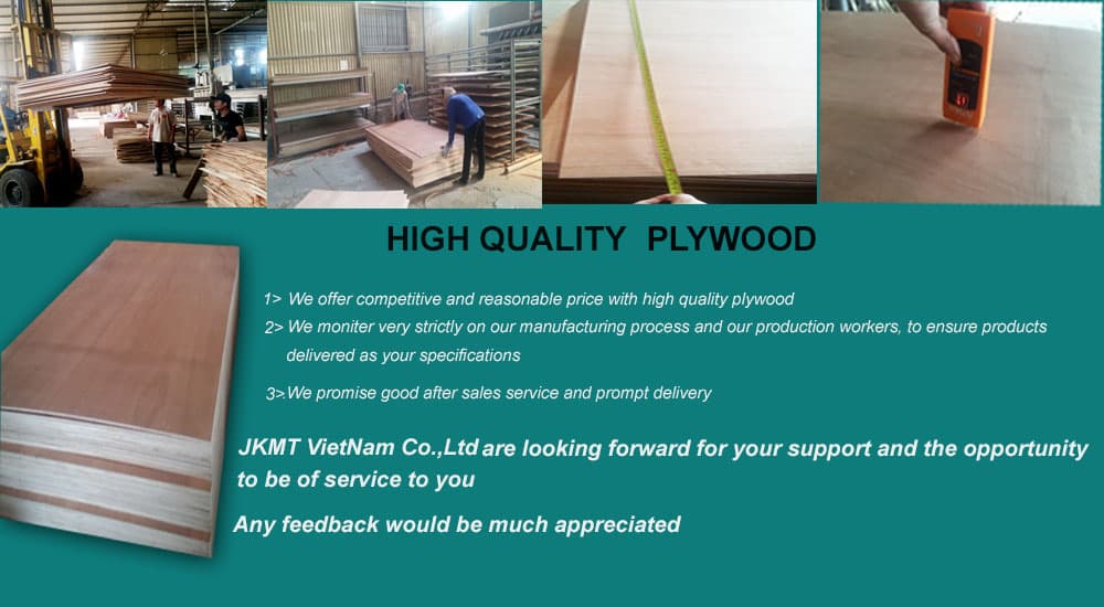 High Quality Plywood from Vietnam